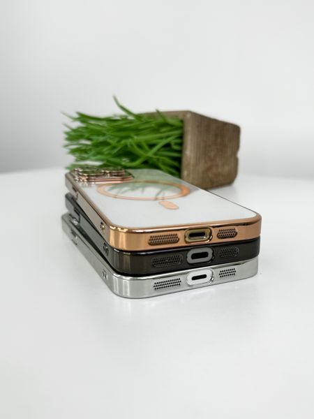Чохол Brilliant MagSafe Case (iPhone 13 Pro, Silver) 3765200000003 фото