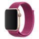 Ремінець для Apple Watch Nylon Loop нейлоновий (38mm, 40mm, 41mm, [42mm Series 10/11], Dragon Fruit) 234948 фото 1