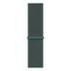 Ремінець для Apple Watch Nylon Loop нейлоновий (38mm, 40mm, 41mm, [42mm Series 10/11], Pine Green) 234960 фото 3